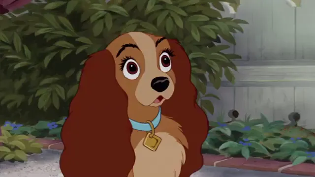 Lady and the Tramp Scene 2