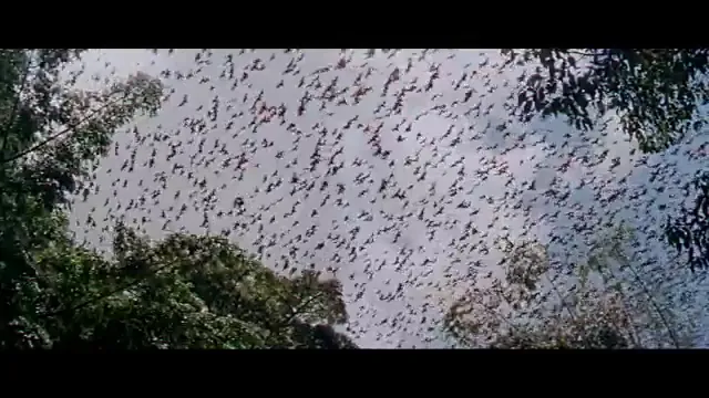 The Bridge on the River Kwai Scene 5