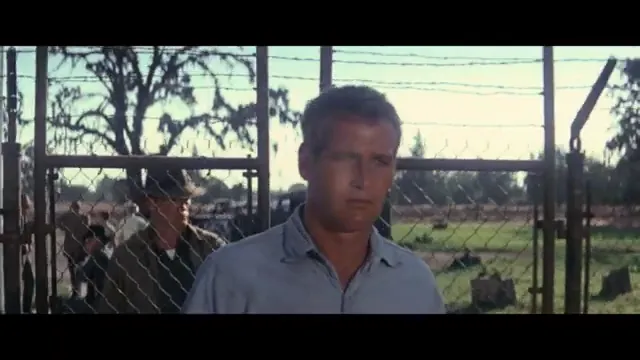 Cool Hand Luke Scene 1