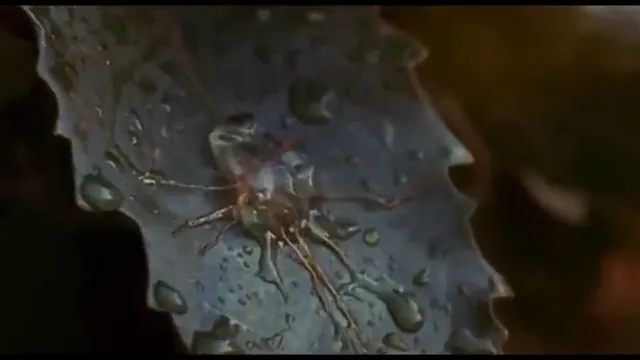 Invasion of the Body Snatchers Scene 2