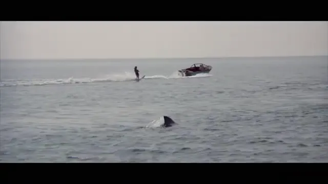 Jaws 2 Scene 2