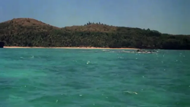 The Blue Lagoon Scene 1