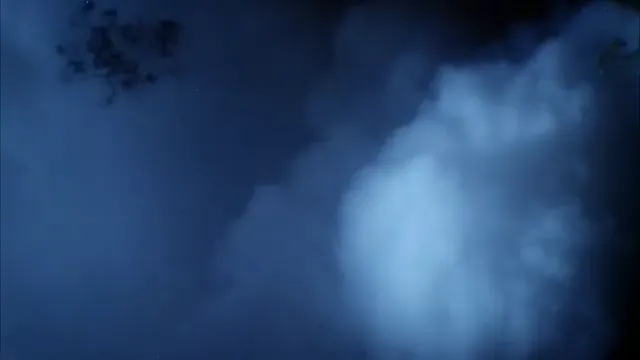 The Fog Scene 4