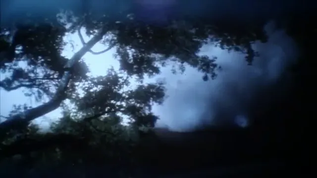 The Fog Scene 5