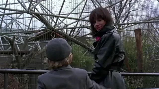 An American Werewolf in London Scene 3
