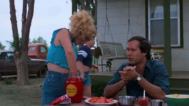 National Lampoon's Vacation Scene 3