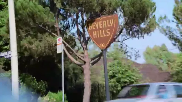 Beverly Hills Cop Scene 2