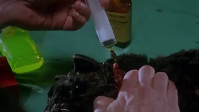 Re-Animator Scene 2