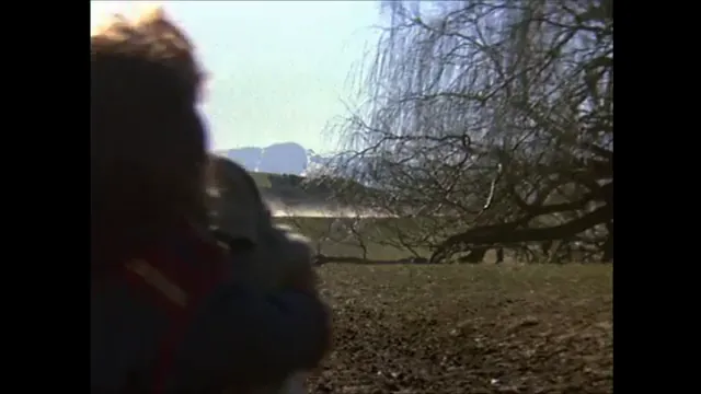 Willow Scene 1