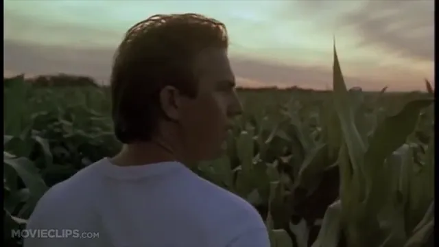 Field of Dreams Scene 1