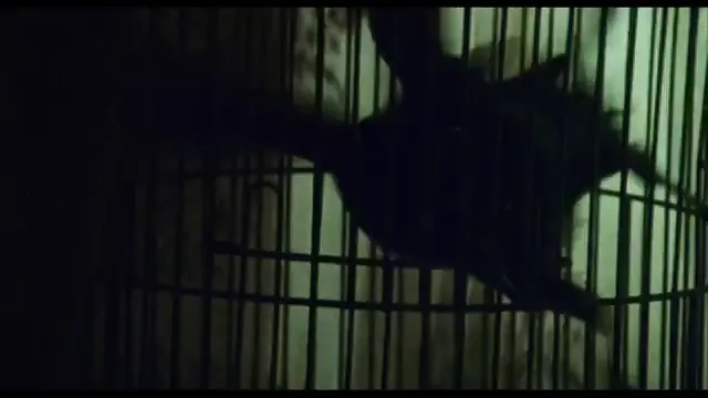 Jacob's Ladder Scene 2