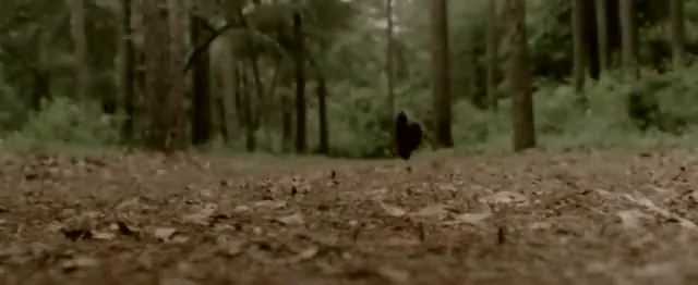 Miller's Crossing Scene 1