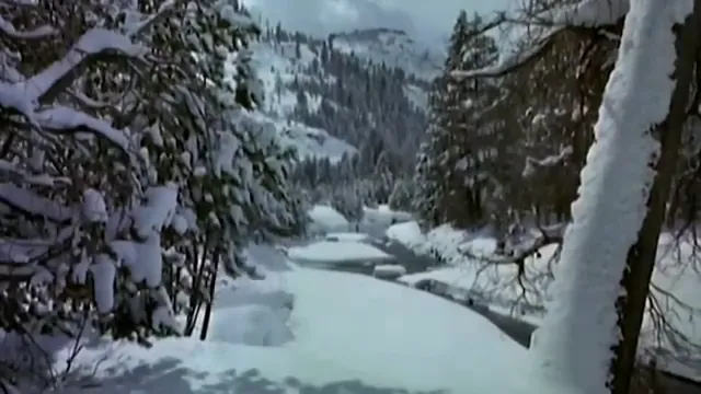 Misery Scene 2