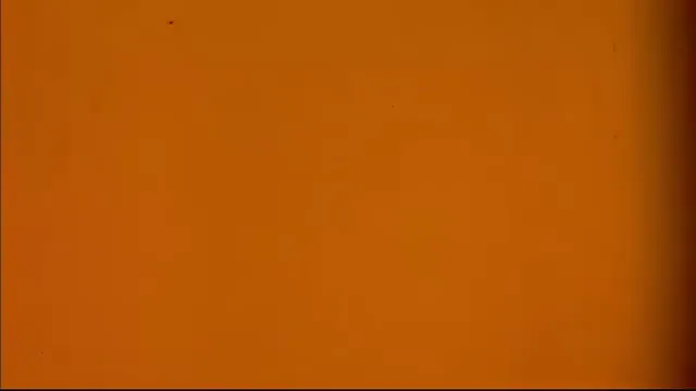 Teenage Mutant Ninja Turtles Scene 3