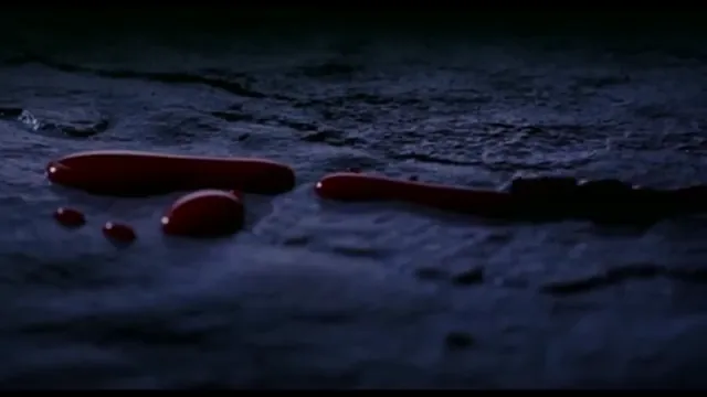Bram Stoker's Dracula Scene 2