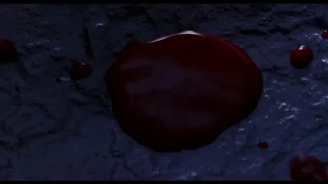 Bram Stoker's Dracula Scene 3