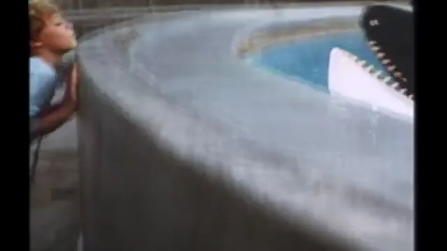 Free Willy Scene 2