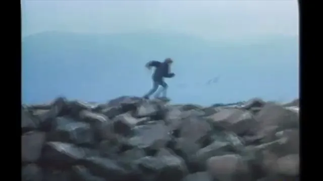 Free Willy Scene 5