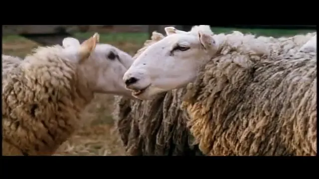 Babe Scene 3