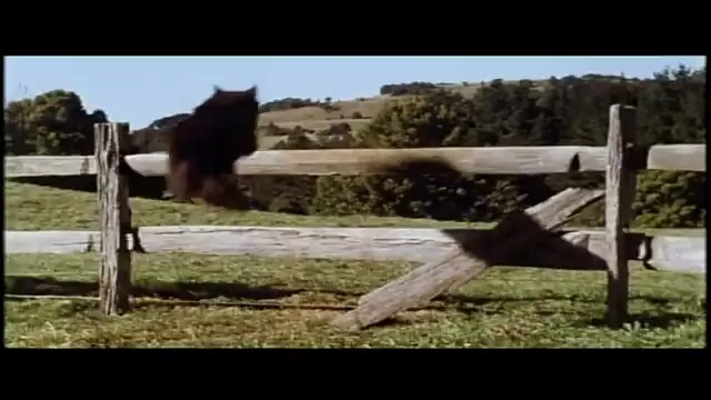 Babe Scene 5