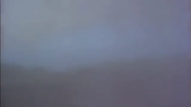 George of the Jungle Scene 1