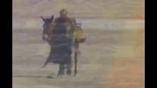 The Postman Scene 2