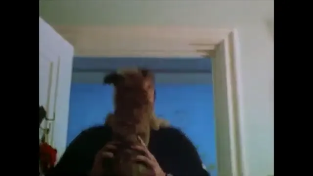 There's Something About Mary Scene 5