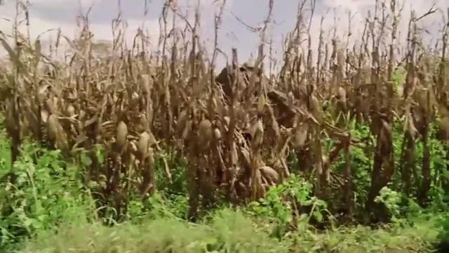 Cold Mountain Scene 2