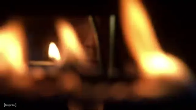 Stir of Echoes Scene 5