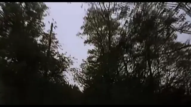 The Blair Witch Project Scene 1
