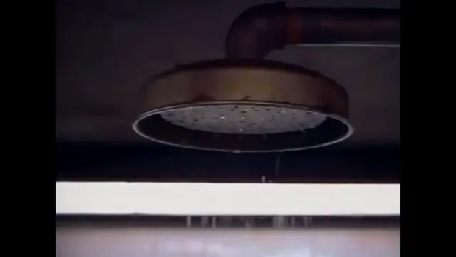 The Cell Scene 2