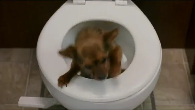 Meet the Fockers Scene 5