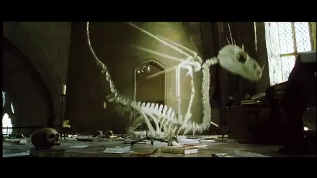 Harry Potter and the Chamber of Secrets Scene 5