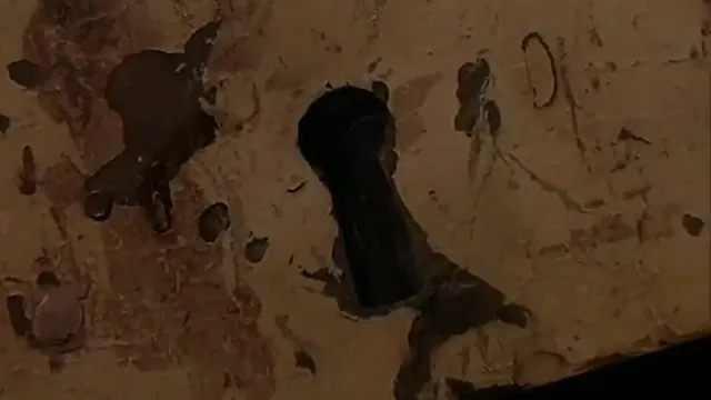 Wrong Turn Scene 3