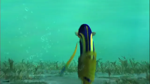 Shark Tale Scene 2