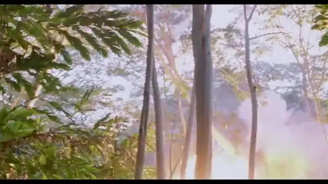 Tears of the Sun Scene 5