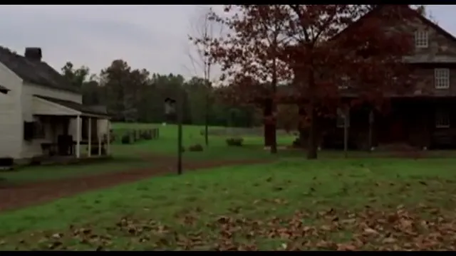 The Village Scene 2