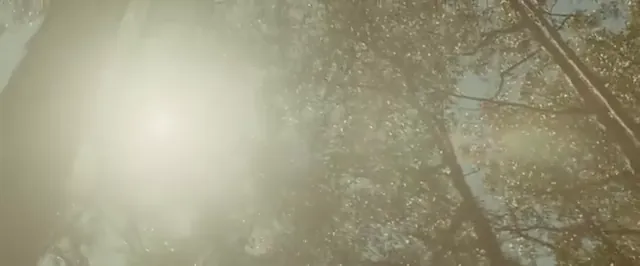 Where the Wild Things Are Scene 1