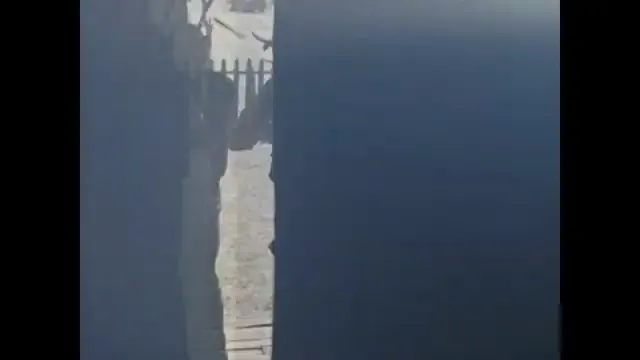 The Devil's Rejects Scene 2