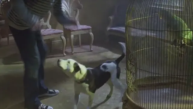 House of Wax Scene 3