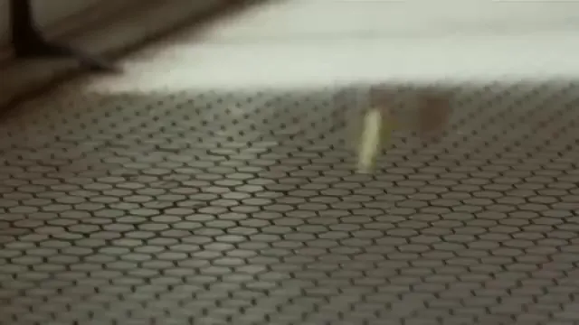 The Skeleton Key Scene 3