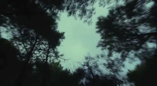 Bridge to Terabithia Scene 1