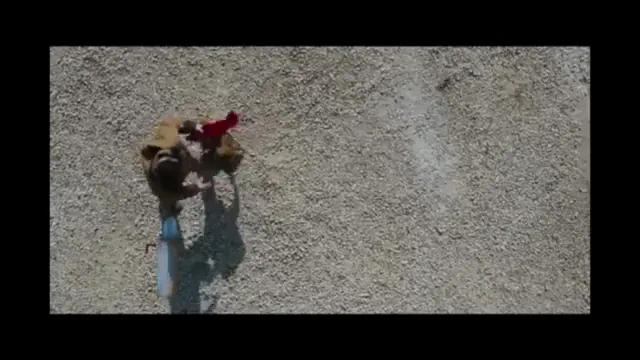 The Lake House Scene 3