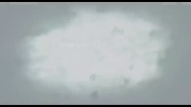 Land of the Dead Scene 5