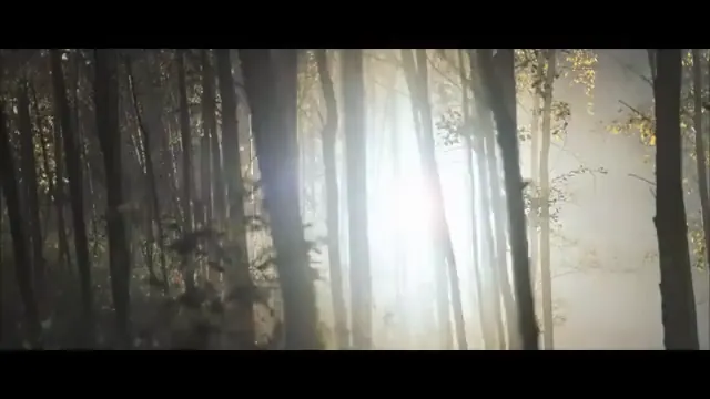 The Assassination of Jesse James by the Coward Robert Ford Scene 2