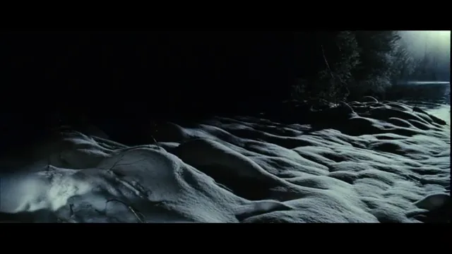 The X Files: I Want to Believe Scene 1