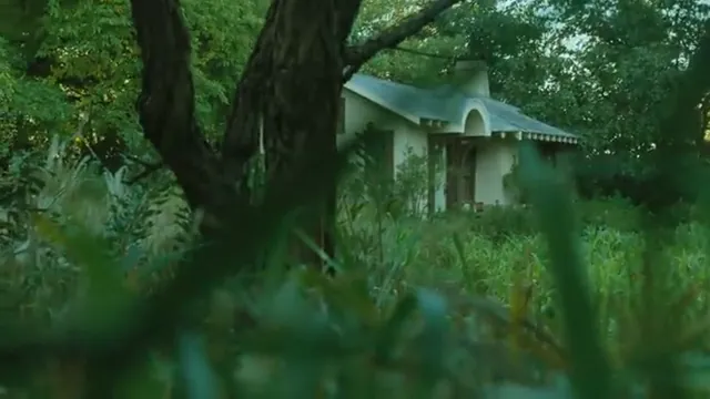 Lady in the Water Scene 4