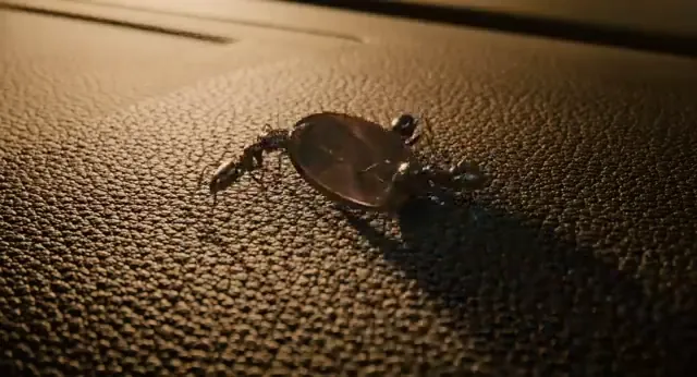 Ant-Man Scene 3