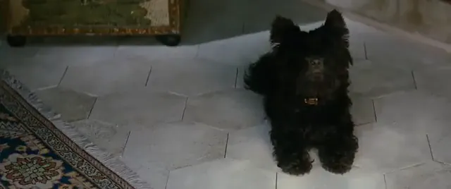 Inkheart Scene 1