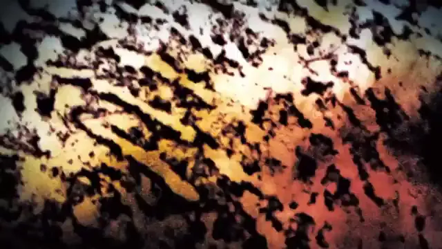 Mr. Brooks Scene 2